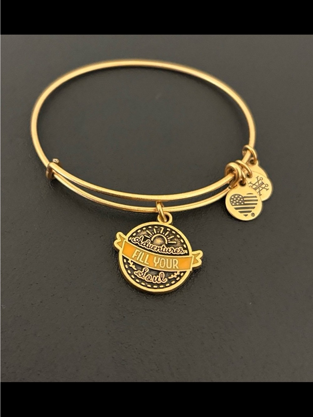 Alex and Ani Bracelet Adventures Fill Your Soul Charm Bangle #512